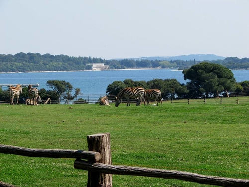 Safari park Brioni Safari park Brioni